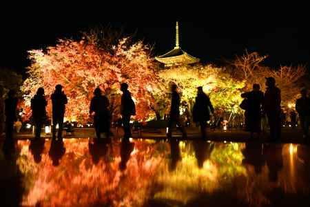 秘密のリフレクション