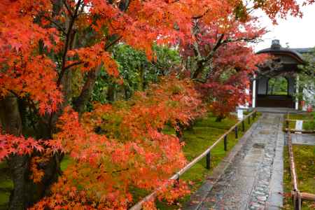 秋の大徳寺 興臨院