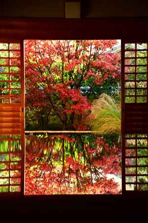 秋色リフレクション