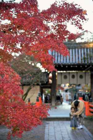 七五三さん　可愛い