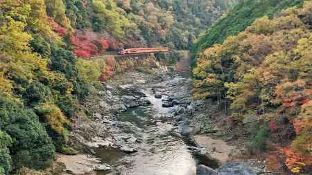 秋の保津川　トロッコ列車編