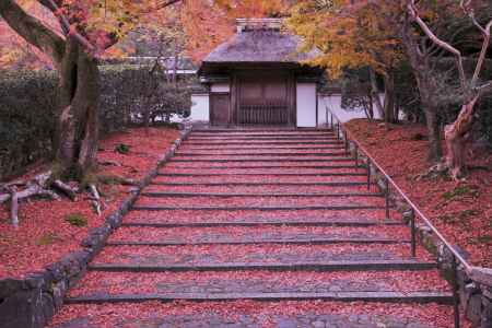 松虫姫と鈴虫姫の秋