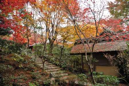 時雨亭の秋