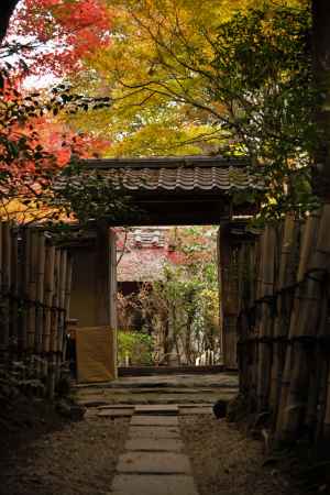 晩秋の山門