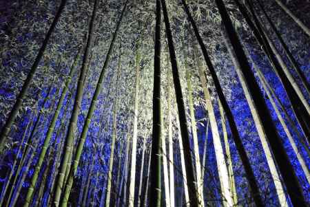 京都・嵐山花灯路－2021