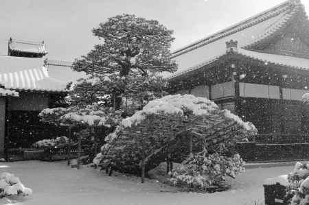 陸舟の松に降る雪は…