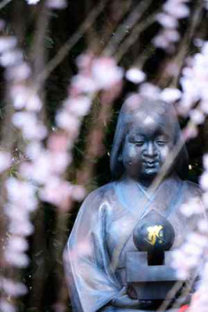 おかめさんの春