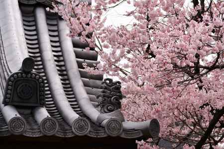 相手を尊重しつつ…