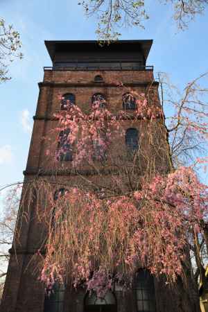 宇治駐屯地の春