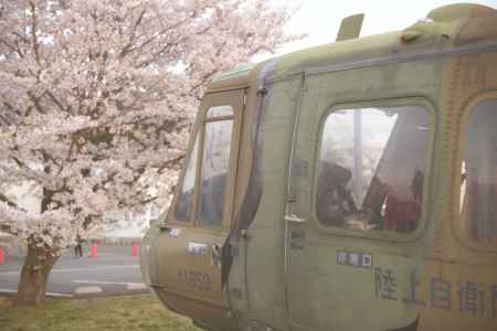 ヘリもお花見