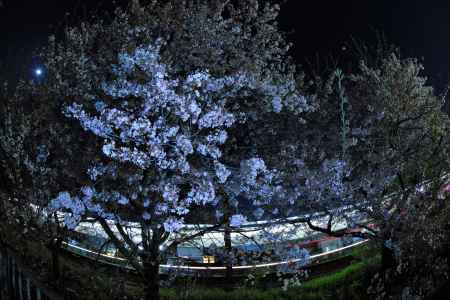 最終電車通過します～