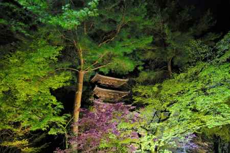 我が世　誰ぞ　常ならん