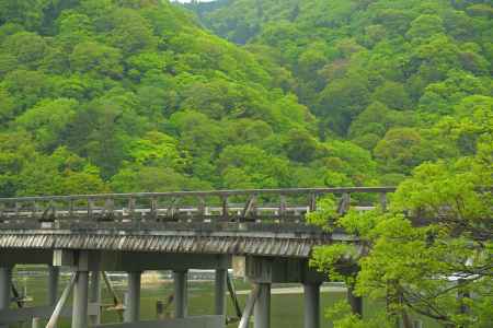 新緑の渡月橋