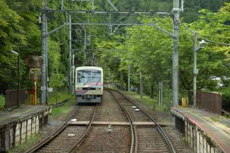 緑に包まれる　叡電