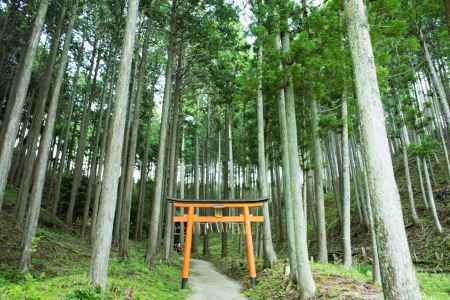 夏ながら 秋風立ちぬ氷室山 ここにぞ冬を 残すと思へば