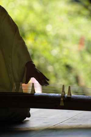 萩まつり　琴の音