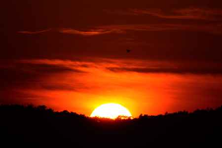 秋の陽を撮ってくれろと鳴くカラス