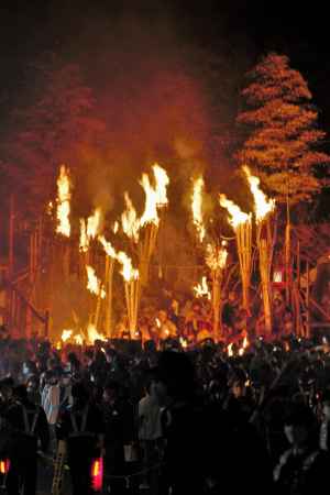 秋の夜を照らす