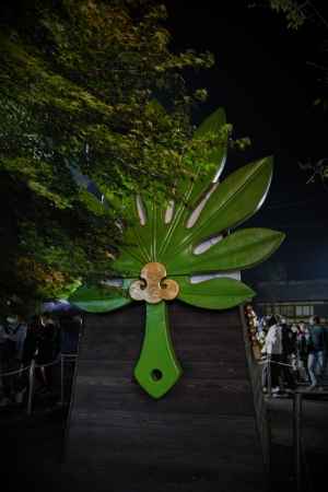 テングノハウチワ