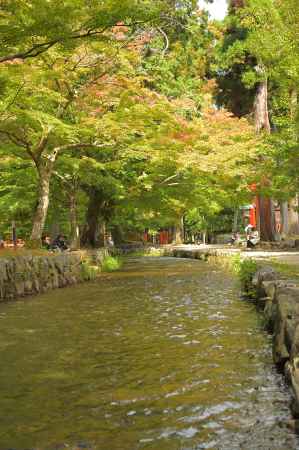 ならの小川　色づきはじめ