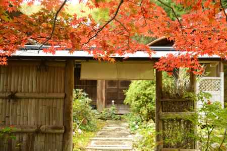 紅葉による結界　