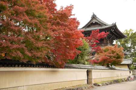 嵯峨釈迦堂さんの秋