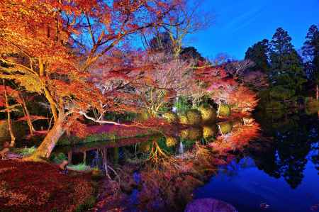 差し向かう心は清き水鏡