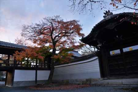 格式と品格の秋