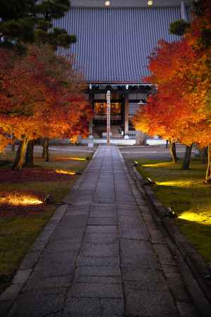 喧騒から離れた秋