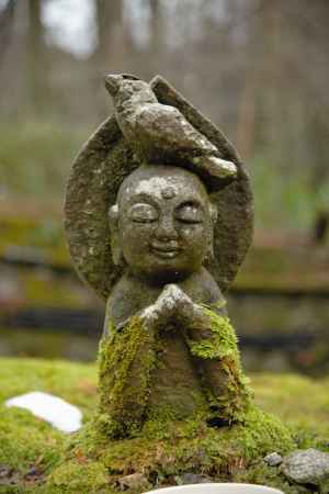 お地蔵さんと鳥