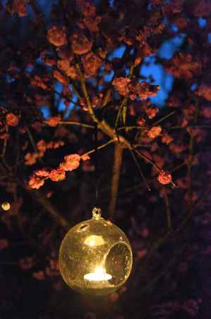 花の庭　灯り