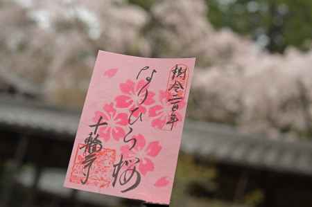 なりひら桜　御朱印