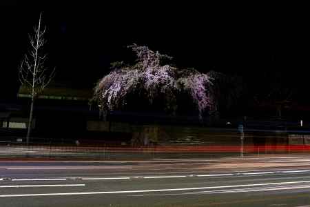 烏丸通りに佇む