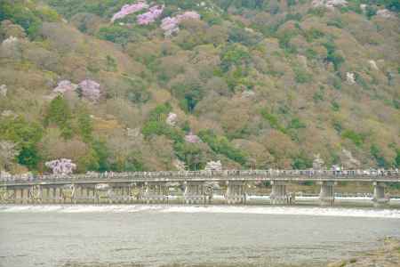 春眠暁を覚えず