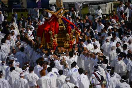 ホイっと！ホイっと！ゆっくり！よい！よい！