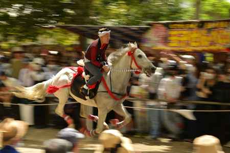 馬よし！馬場よし！乗子さんよしゃ！