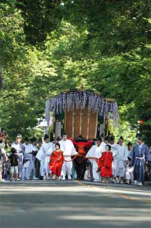 藤の牛車　加茂街道をゆく