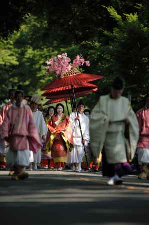 命婦さん木漏れ日に光る　