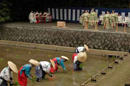 典雅な御田植