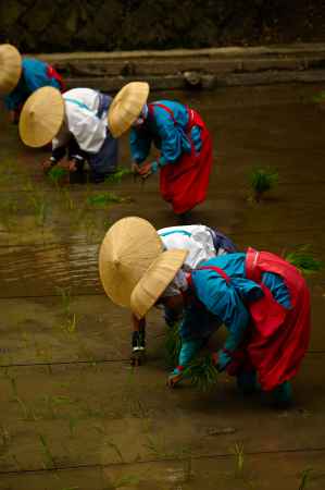 茜色と空色たすき