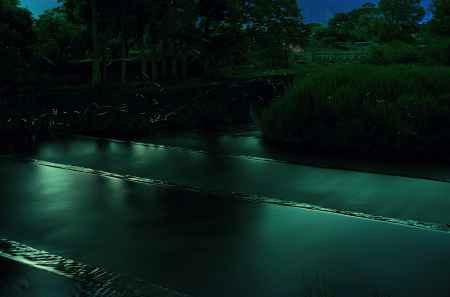 大原の里　火垂る舞う