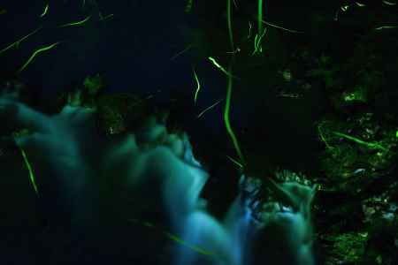 清滝川の流れとともに