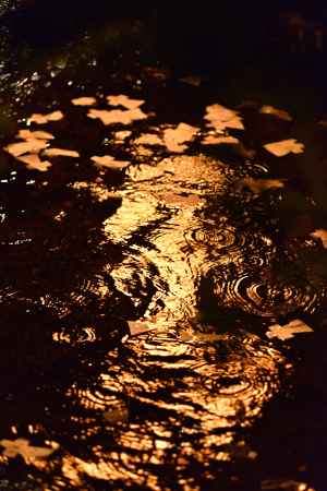 ならの小川に人形流れ