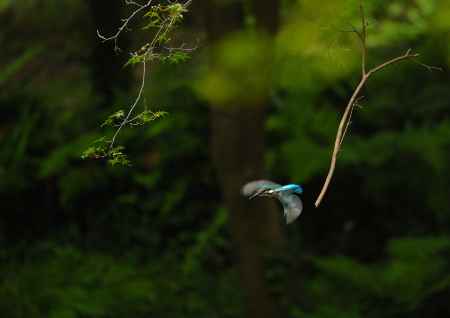 無事でありがとう