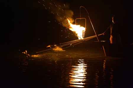 鵜匠の技　鵜の眼力