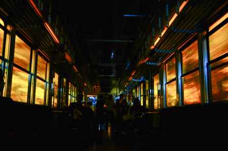 モミジのトンネル　2023