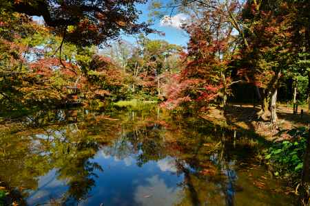 植物園　色づく