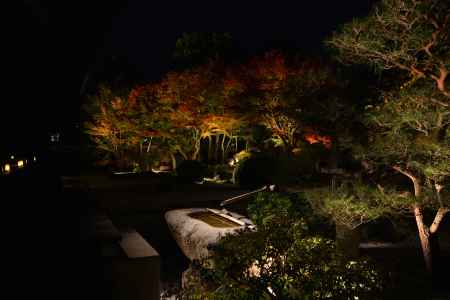妙顕寺さん　秋　ライトアップ　2023