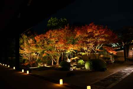 四海唱導の庭　紅葉