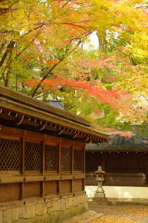 上御霊神社さん　秋　2023